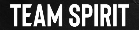 5 Spirit.webp