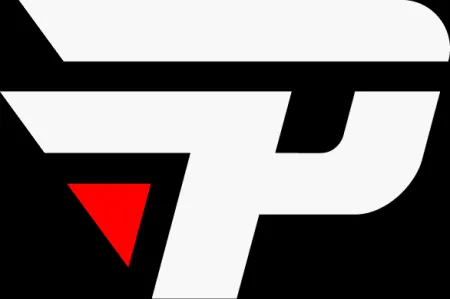 5 paIN.webp
