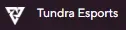 5 tundra.webp