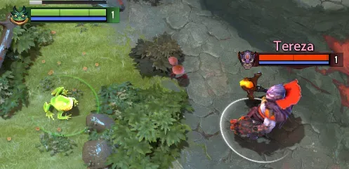 Lion hexing Largo.webp