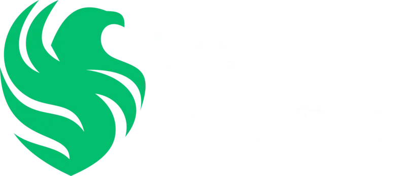 falcons.webp