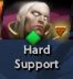 hard support invo.webp